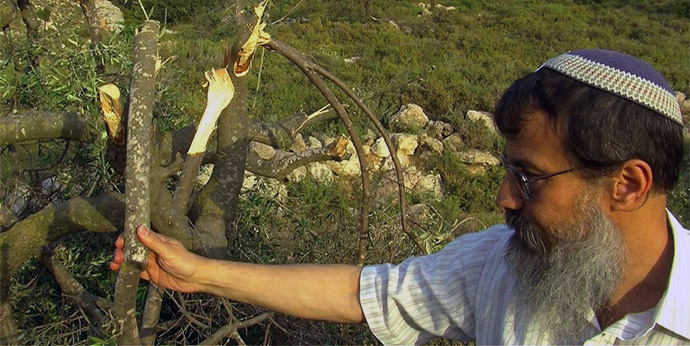 hanan-branch
